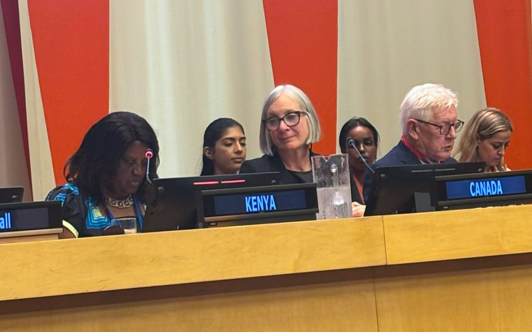 KENYA REAFFIRMS ITS COMMITMENT TO CHAMPIONING ADEQUATE HOUSING AT THE HLPF