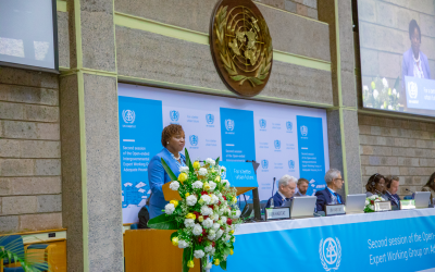 SECOND SESSION OF THE UN-HABITAT EXPERT WORKING GROUP ON ADEQUATE HOUSING FOR ALL OPENS IN NAIROBI.