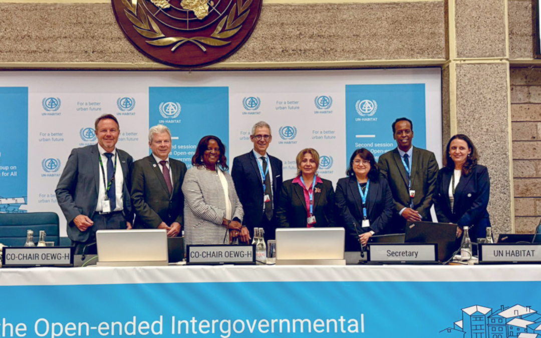 CLOSURE OF THE SECOND SESSION OF THE INTERGOVERNMENTAL OEWG ON ADEQUATE HOUSING FOR ALL