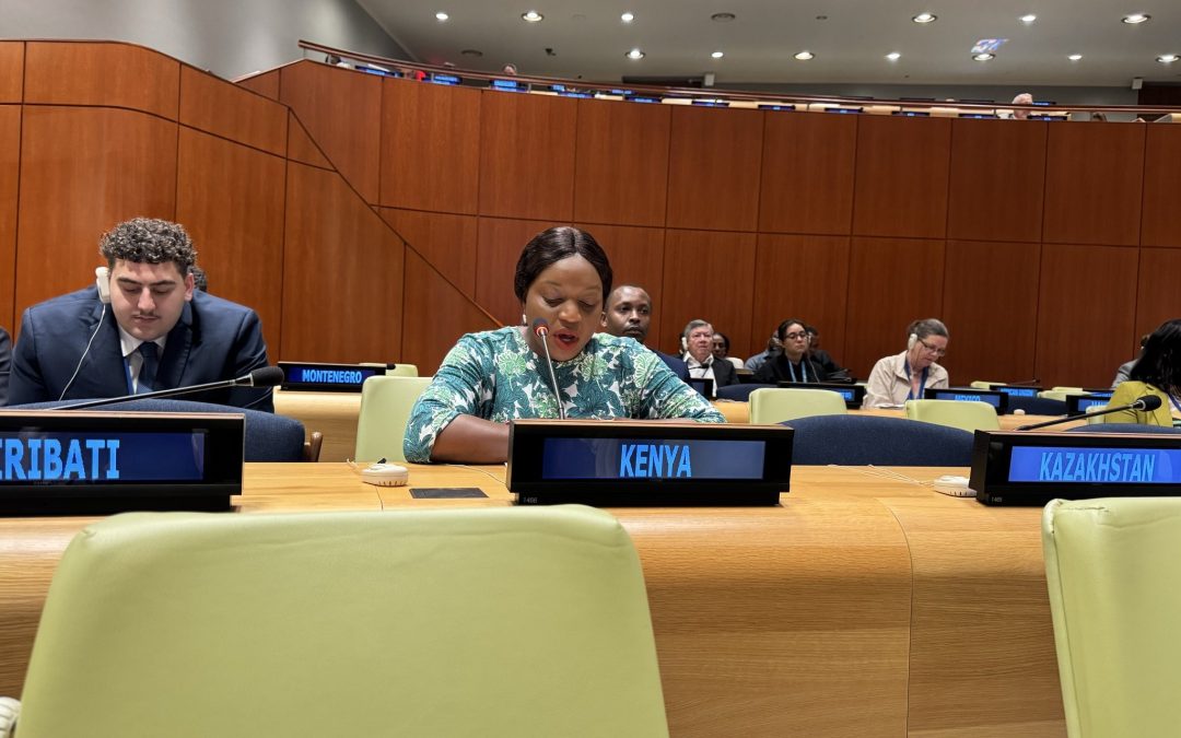 KENYA SHOWCASES AFFORDABLE HOUSING AGENDA AS A CATALYST FOR FINANCING SUSTAINABLE URBANIZATION AT THE UN HIGH-LEVEL MEETING IN NEW YORK