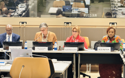 KENYA REAFFIRMS COMMITMENT TO ADEQUATE HOUSING FOR ALL AND STRENGTHENING UN-HABITAT AT UNGA81